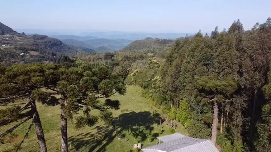 Foto 1 de Fazenda/Sítio com 1 Quarto à venda, 60000m² em Serra Grande, Gramado