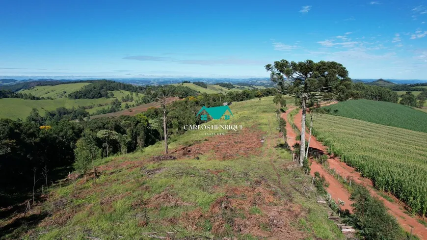 Foto 1 de Lote/Terreno à venda, 22000m² em Centro, Toledo