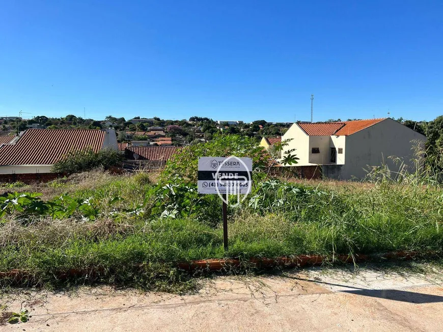 Foto 1 de Lote/Terreno à venda, 255m² em , Ibiporã