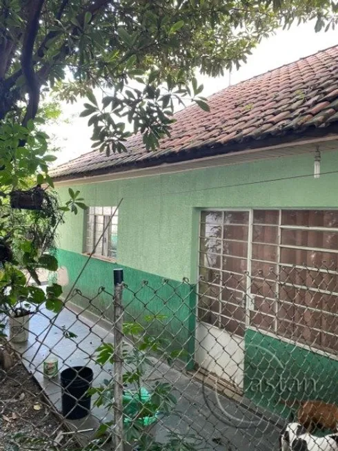 Foto 1 de Lote/Terreno com 1 Quarto à venda, 102m² em Vila Prudente, São Paulo