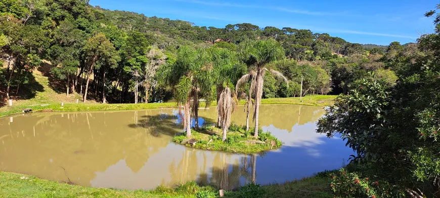 Foto 1 de Fazenda/Sítio com 2 Quartos à venda, 64495m² em , Bocaiúva do Sul