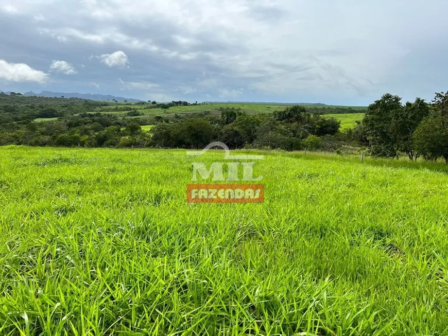 Foto 1 de Fazenda/Sítio à venda, 75m² em Zona Rural, Paraúna