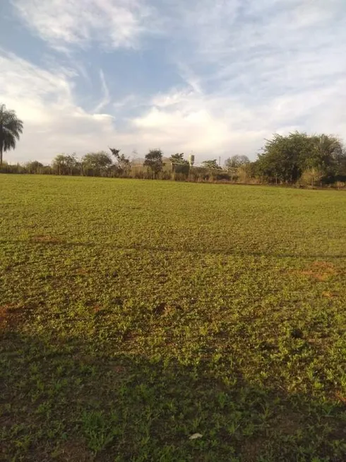 Foto 1 de Lote/Terreno à venda, 1480m² em Area Rural de Limeira, Limeira