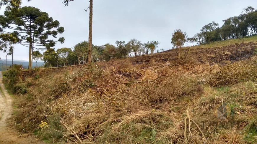 Foto 1 de Lote/Terreno à venda, 2595m² em Jardim das Camélias, Lages