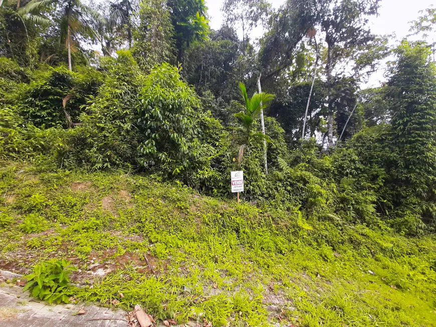 Foto 1 de Lote/Terreno à venda, 253m² em Guarani, Brusque