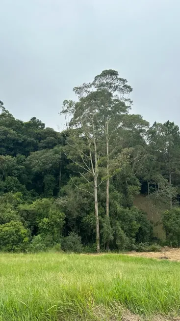 Foto 1 de Lote/Terreno à venda, 500m² em Rio de Una, Ibiúna