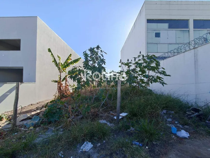 Foto 1 de Lote/Terreno à venda, 250m² em Bosque dos Buritis, Uberlândia