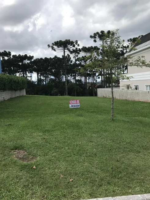 Foto 1 de Lote/Terreno à venda, 465m² em Pineville, Pinhais