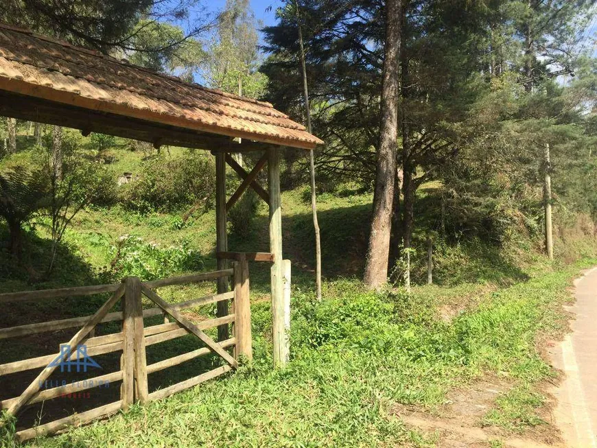 Foto 1 de Lote/Terreno à venda, 152000m² em Centro, Anitápolis