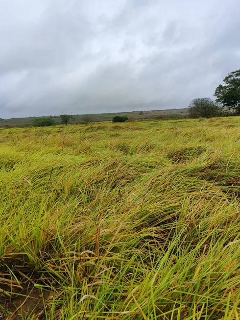 Foto 1 de Fazenda/Sítio com 3 Quartos à venda, 150000m² em Centro, Lagoa de Pedras