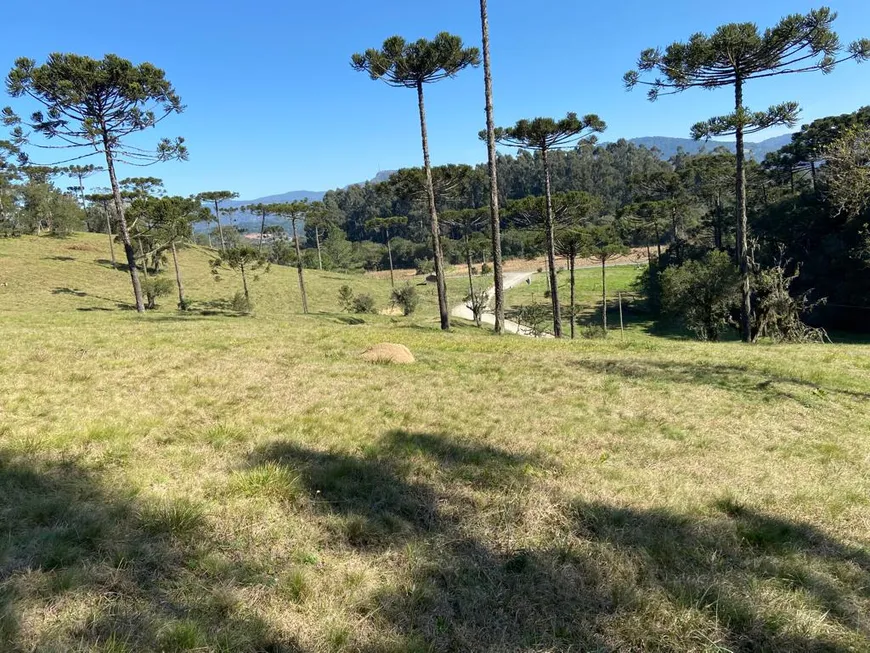 Foto 1 de Lote/Terreno à venda, 48000m² em Distrito de Aguas Brancas, Urubici