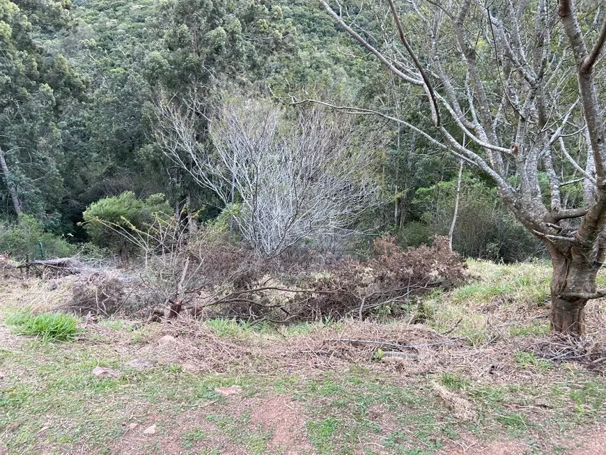 Foto 1 de Lote/Terreno à venda, 1m² em Santa Isabel, Viamão