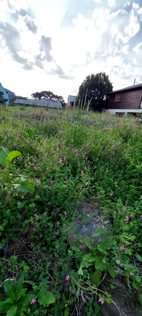 Foto 1 de Lote/Terreno à venda, 450m² em Vila Germania, Nova Petrópolis