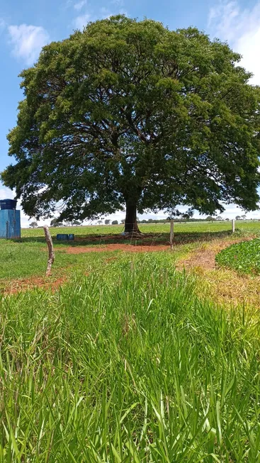 Foto 1 de Fazenda/Sítio à venda em Zona Rural, Aragoiânia