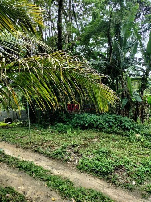 Foto 1 de Lote/Terreno à venda, 6841m² em Barequecaba, São Sebastião