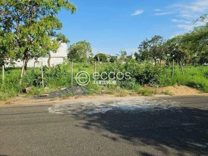 Foto 1 de Lote/Terreno à venda, 290m² em Jardim Inconfidência, Uberlândia