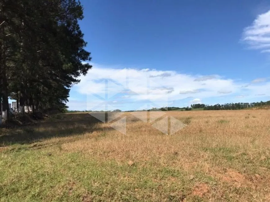 Foto 1 de Lote/Terreno para alugar, 20000m² em Vera Cruz, Gravataí