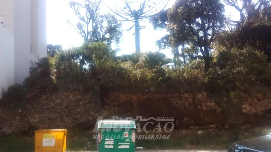 Foto 1 de Lote/Terreno à venda em Petrópolis, Caxias do Sul