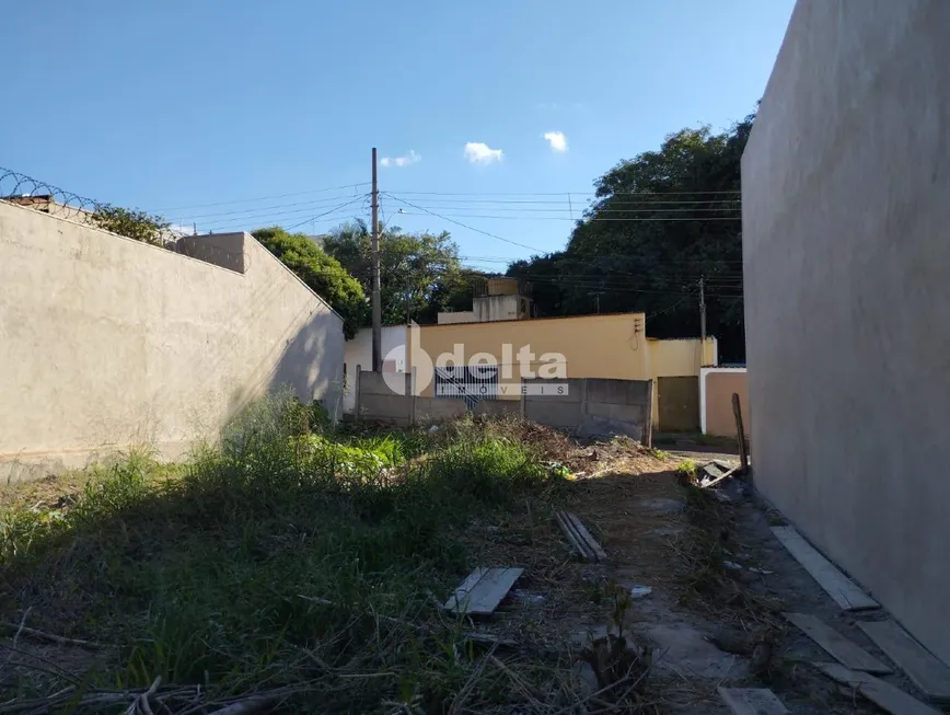 Foto 1 de para alugar, 200m² em Patrimônio, Uberlândia