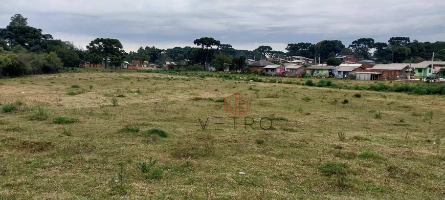 Foto 1 de Lote/Terreno à venda, 11324m² em Canelinha, Canela