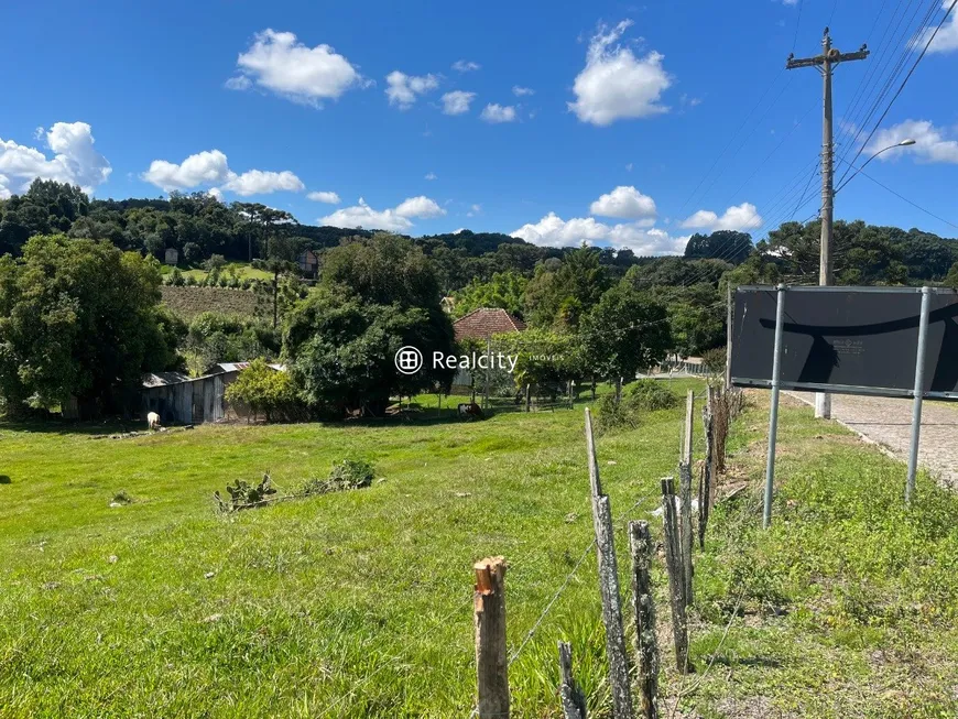 Foto 1 de Lote/Terreno à venda, 24000m² em , Garibaldi