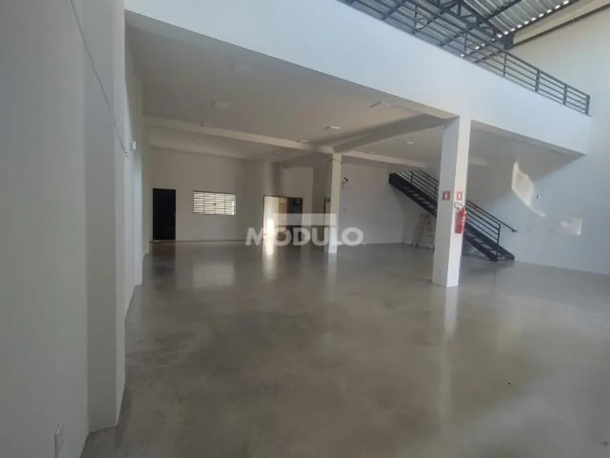 Foto 1 de Galpão/Depósito/Armazém à venda, 300m² em Alto Umuarama, Uberlândia