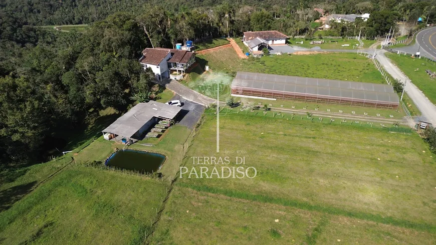 Foto 1 de Fazenda/Sítio à venda, 5000m² em Centro, Campo Alegre