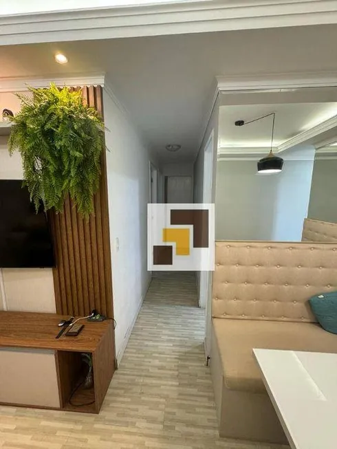 Foto 1 de Apartamento com 3 Quartos à venda, 62m² em Vila Paiva, São Paulo