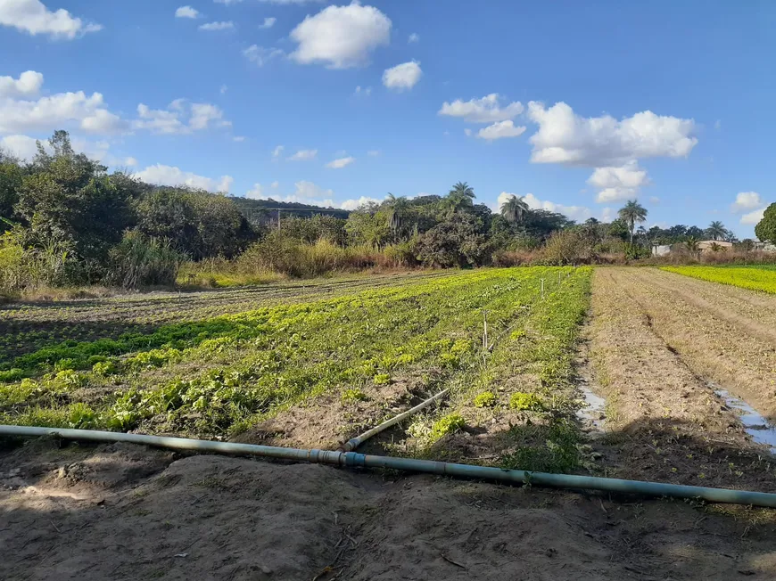 Foto 1 de Fazenda/Sítio à venda, 20000m² em Setor Residencial Leste, Brasília