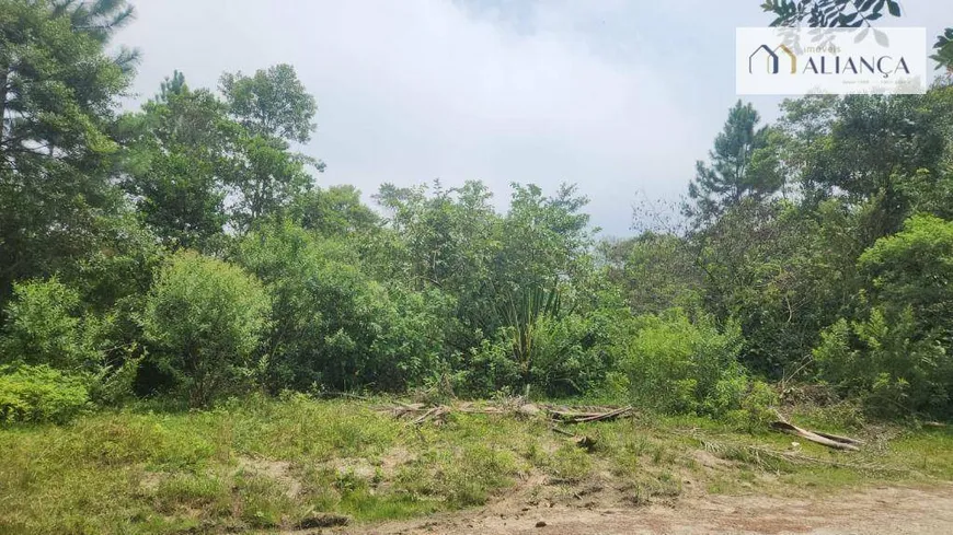 Foto 1 de Lote/Terreno à venda, 3260m² em Parque das Garcas, Santo André