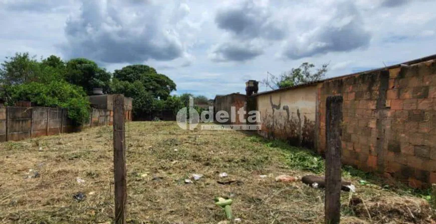 Foto 1 de Lote/Terreno à venda, 360m² em Jardim Brasília, Uberlândia