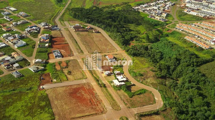 Foto 1 de Lote/Terreno à venda, 300m² em Cara Cara, Ponta Grossa