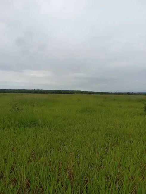 Foto 1 de Fazenda/Sítio à venda, 704m² em Setor Central, Recursolândia