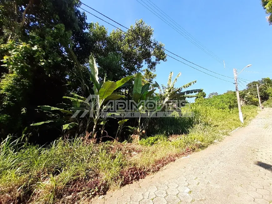 Foto 1 de Lote/Terreno à venda, 54000m² em Saco Grande, Florianópolis