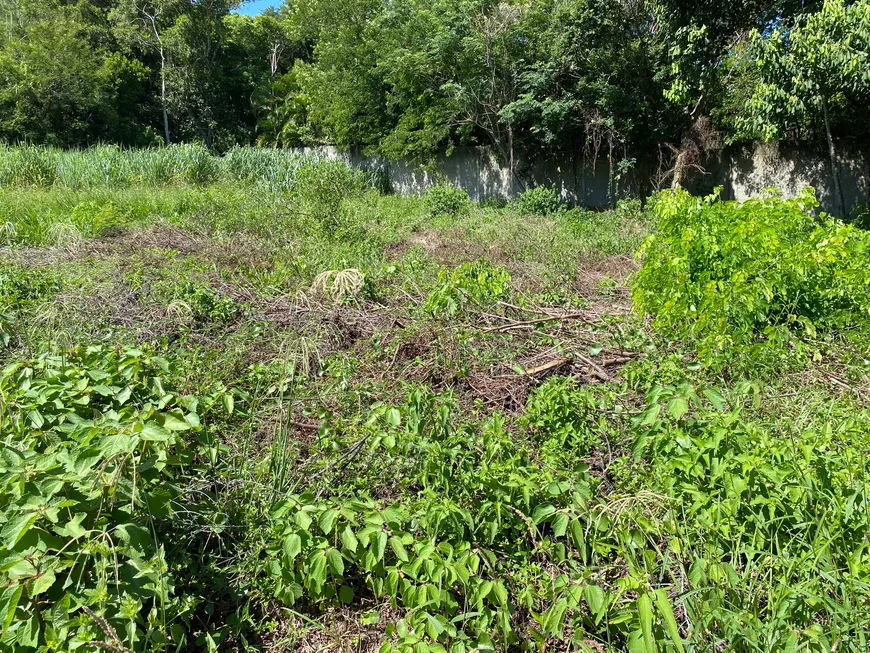 Foto 1 de Lote/Terreno à venda, 455m² em Campeche, Florianópolis