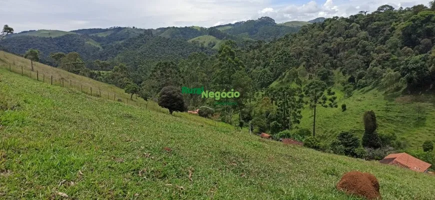 Foto 1 de Fazenda/Sítio à venda, 48400m² em Campos de Cunha, Cunha