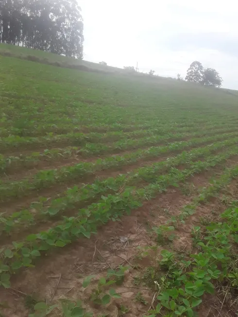 Foto 1 de Fazenda/Sítio com 2 Quartos à venda, 90m² em Zona Rural, Pilar do Sul