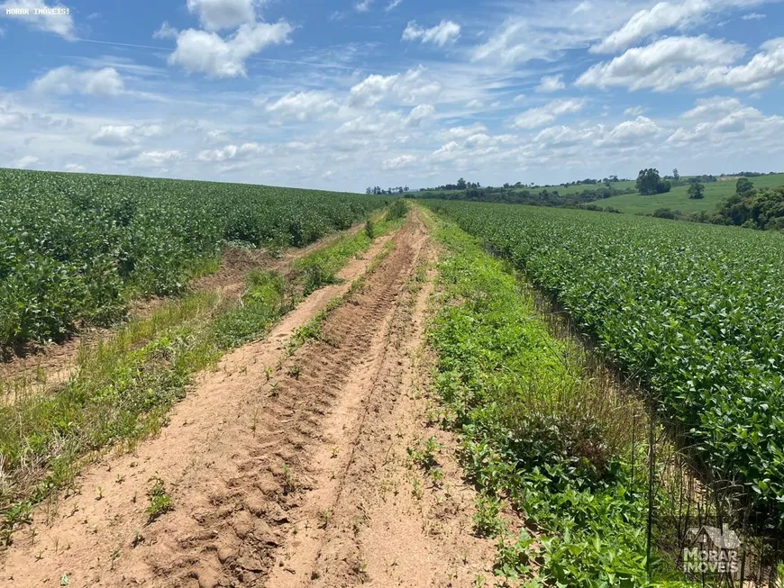 Foto 1 de Fazenda/Sítio à venda, 140m² em Centro, Itapetininga