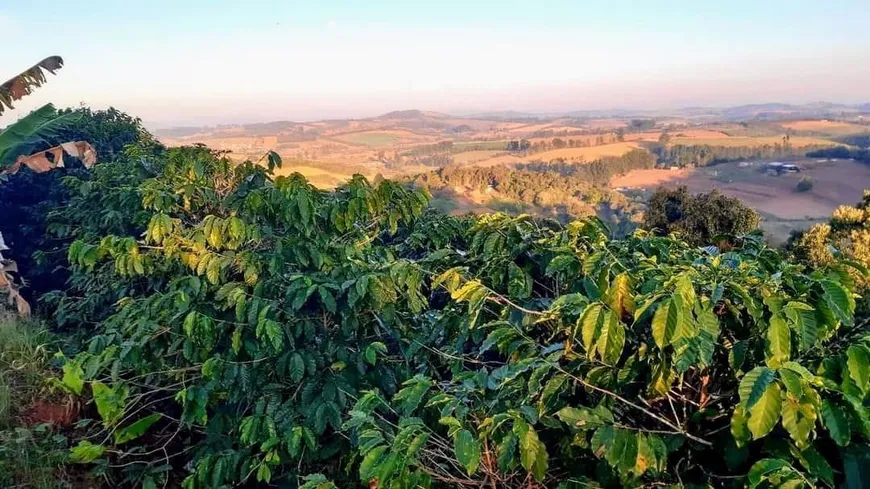 Foto 1 de Lote/Terreno à venda, 69900m² em Zona Rural, Turvolândia