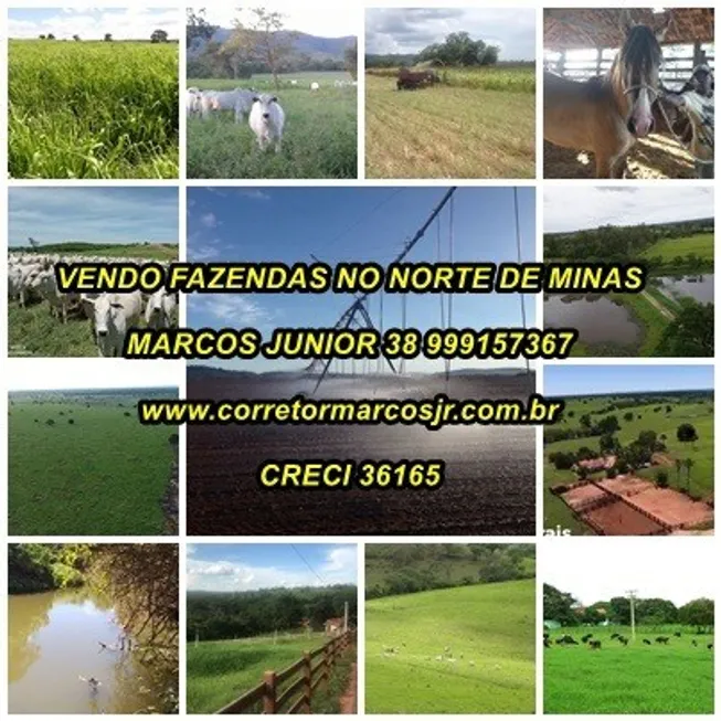 Foto 1 de Fazenda/Sítio com 1 Quarto à venda, 20000m² em Nossa Senhora de Fátima, Montes Claros