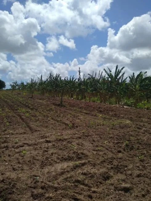 Foto 1 de Fazenda/Sítio com 3 Quartos à venda, 125000m² em Dom Marcolino, Maxaranguape