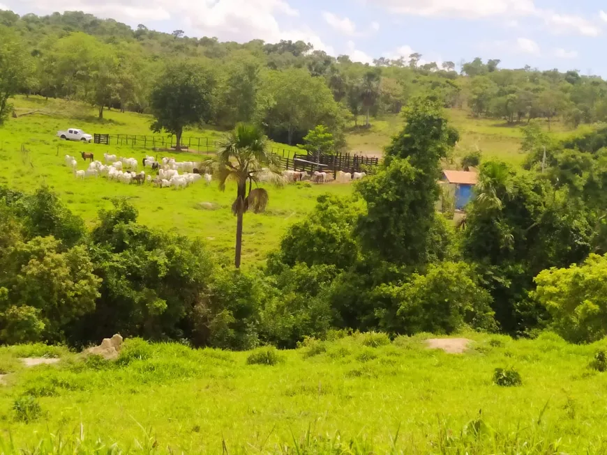 Foto 1 de Fazenda/Sítio com 2 Quartos à venda em Zona Rural, Caldas Novas