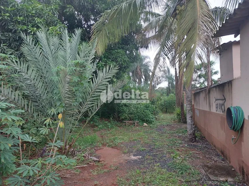 Foto 1 de Fazenda/Sítio com 3 Quartos à venda, 170m² em Morada Nova, Uberlândia