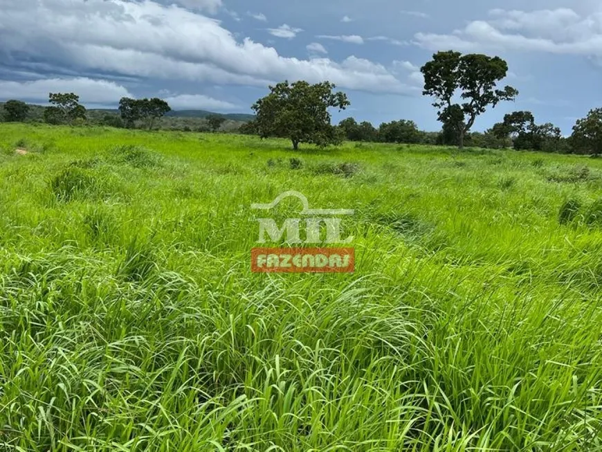 Foto 1 de Fazenda/Sítio à venda, 402m² em Zona Rural, Porangatu