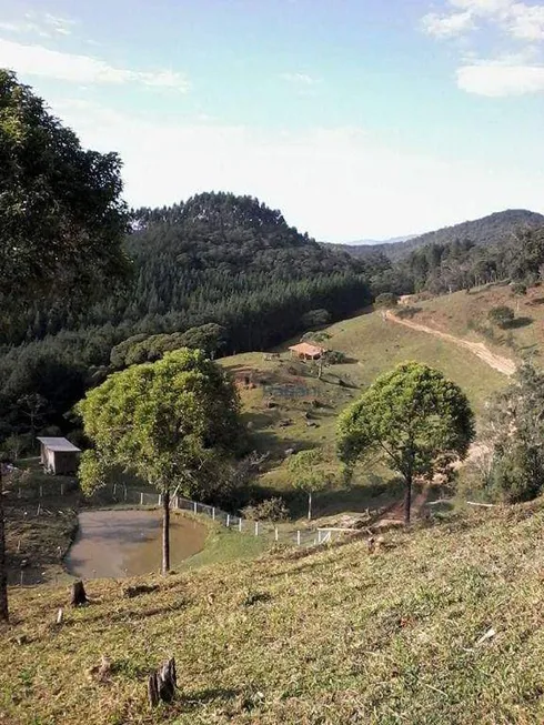 Foto 1 de Fazenda/Sítio à venda, 162480m² em Santa Teresa, São Pedro de Alcântara