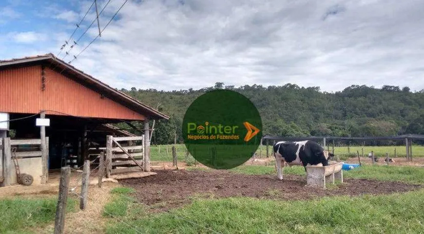 Foto 1 de Fazenda/Sítio com 2 Quartos à venda, 1137400m² em Zona Rural, Heitoraí