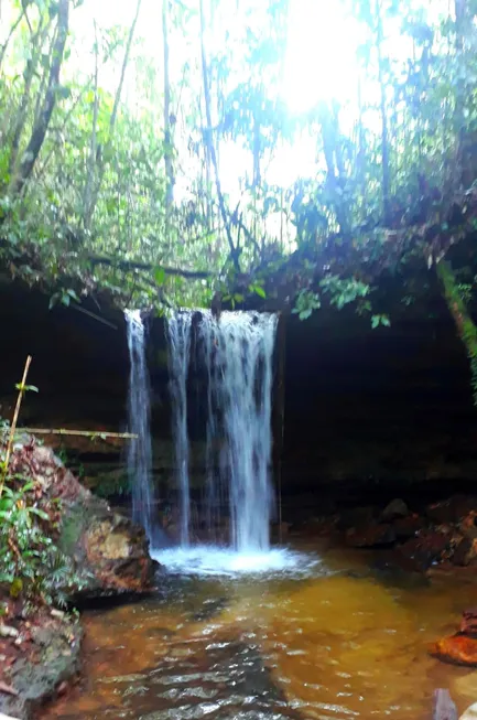 Foto 1 de Fazenda/Sítio à venda, 600000m² em Balbina, Presidente Figueiredo