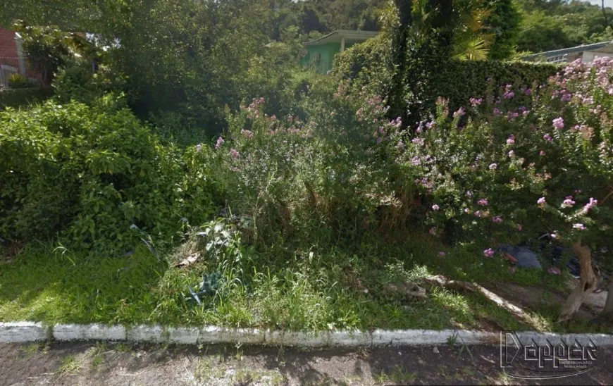 Foto 1 de Lote/Terreno à venda em São Jorge, Novo Hamburgo