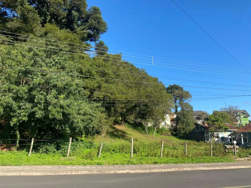 Foto 1 de Lote/Terreno à venda, 1546m² em Vila Boeira, Canela