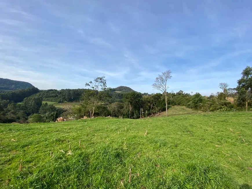 Foto 1 de Fazenda/Sítio à venda, 47700m² em Pinhal Alto, Nova Petrópolis
